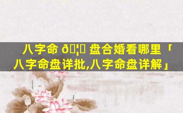 八字命 🦅 盘合婚看哪里「八字命盘详批,八字命盘详解」